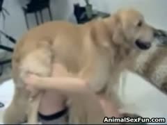 Mama fucking dog